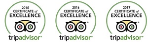 trip advisor certificate of excellence